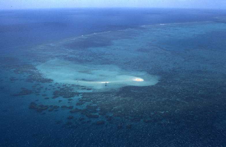 barri&egrave;re reef 1