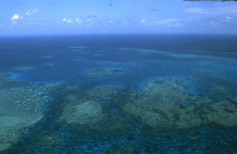 barri&egrave;re reef 2