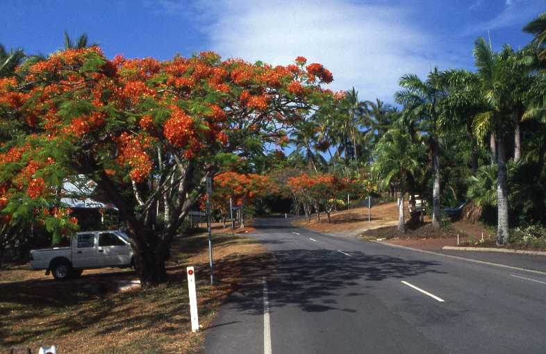 Port Douglas