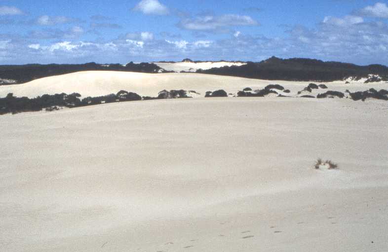 white sand dunes