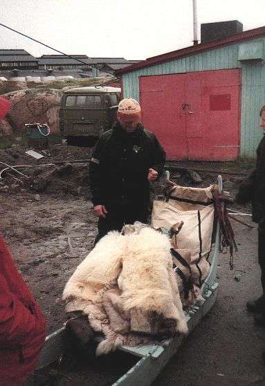 dogsled