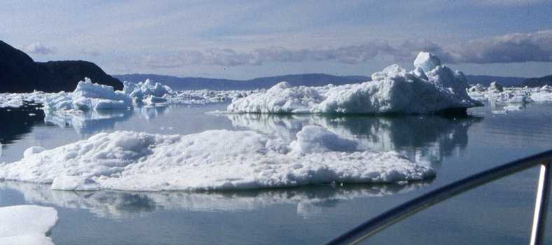 icefields in the fjord
